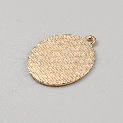 Zinc Alloy Enamel Pendants&nbsp;FIND-CJC0437-008B