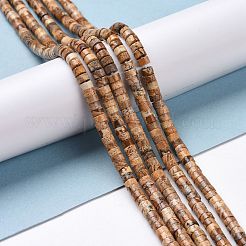 Natural Picture Jasper Beads Strands&nbsp;G-P468-03