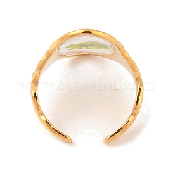 Oval Ion Plating(IP) 304 Stainless Steel Open Cuff Rings for Women&nbsp;RJEW-Z052-03G