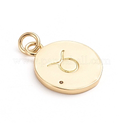 Brass Micro Pave Cubic Zirconia Pendants&nbsp;ZIRC-E164-34H-G
