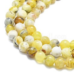 Natural Yellow Opal Beads Strands&nbsp;G-K245-A07-B02