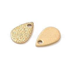 304 Stainless Steel Charms&nbsp;STAS-G393-05G-02