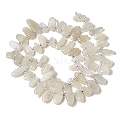 Natural Moonstone Beads Strands&nbsp;G-P604-A27-01