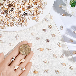 165g Natural Shell Pendants&nbsp;SHEL-PA0001-05