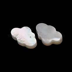 Natural White Shell Beads&nbsp;SH-CBA2978-23