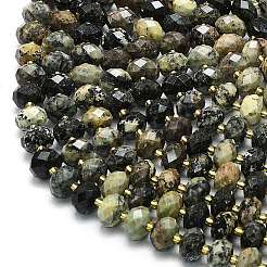 Natural African Turquoise(Jasper) Beads Strands&nbsp;G-P573-A28-01
