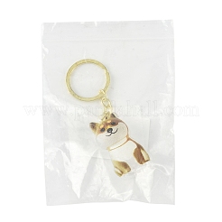 Iron Plastic Keychains&nbsp;KEYC-FZC0001-001C-G