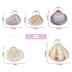5 Styles Shell Beads&nbsp;SHEL-FH0001-22
