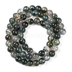 Natural Moss Agate Bead Strands&nbsp;G-J358-01-6mm