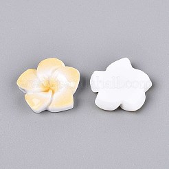 Plumeria Flower Opaque Resin Cabochons&nbsp;CRES-T025-30B-02