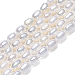 Natural Cultured Freshwater Pearl Beads Strands&nbsp;PEAR-N012-03G