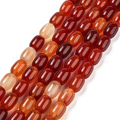 Barrel Shaped Gemstone Dyed Natural Red Agate Stone Beads Strands&nbsp;G-S114-05