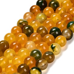 Dyed Natural Agate Beads Strands&nbsp;G-G203-10F-10mm