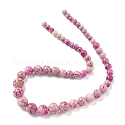 Natural Fossil Graduated Beads Strands&nbsp;G-F830-A03-01