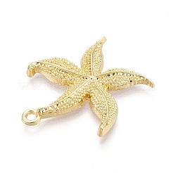 Alloy Pendants&nbsp;FIND-N010-13G