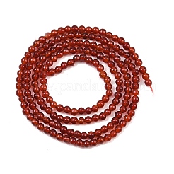 Natural Carnelian Bead Strands&nbsp;G-K146-03-2mm