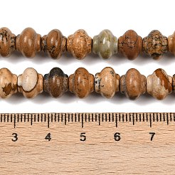 Natural Picture Jasper Beads Strands&nbsp;G-P595-C05-01