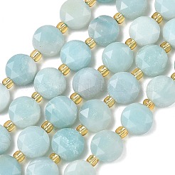 Natural Flower Amazonite Beads Strands&nbsp;G-C116-A183-02