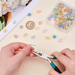 Frosted Acrylic Charms&nbsp;PALLOY-AR00037
