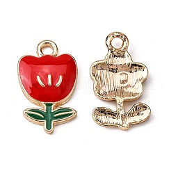 Alloy Pendants&nbsp;ENAM-AR0001-09-NR