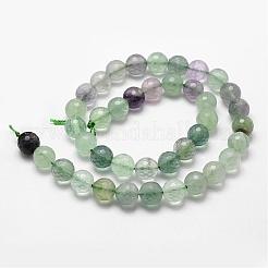 Natural Fluorite Beads Strands&nbsp;G-D840-13-8mm