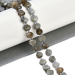 Natural Labradorite Beads Strands&nbsp;G-G182-B02-02