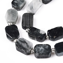 Natural Eagle Eye Stone Beads Strands&nbsp;G-C098-A16-01