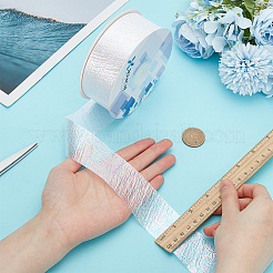 18M Iridescent Polyester Ribbon&nbsp;OCOR-WH0097-10A