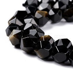 Natural Golden Sheen Obsidian Beads Strands&nbsp;G-C229-01B