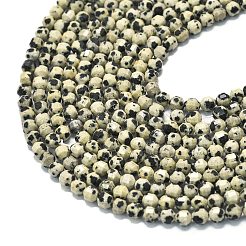 Natural Dalmatian Jasper Beads Strands&nbsp;G-A260-A10-01