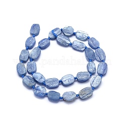 Natural Kyanite/Cyanite/Disthene Beads Strands&nbsp;G-O170-22