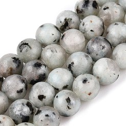 Natural Sesame Jasper/Kiwi Jasper Bead Strands&nbsp;G-R345-6mm-36