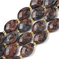 Natural Red Labradorite Beads Strands&nbsp;G-A295-A02-01