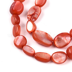Natural White Shell Beads Strands&nbsp;SHEL-N036-21F
