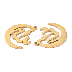 304 Stainless Steel Pendants&nbsp;STAS-Z041-35G