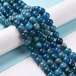 Natural Apatite Beads Strands&nbsp;G-P132-04-8mm