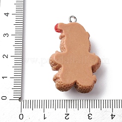 Christmas Opaque Resin Pendants&nbsp;RESI-A049-05A