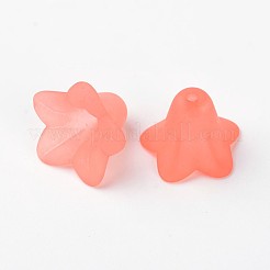 Transparent Acrylic Beads&nbsp;FACR-WH0004-01