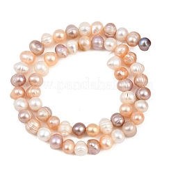 Three Color Natural Cultured Freshwater Pearl Beads Strands&nbsp;PA-CBAFEE8-07