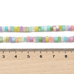 Natural Trochid Shell/Trochus Shell Beads Strands&nbsp;BSHE-H018-04