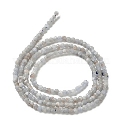 Natural Angelite Beads Strands&nbsp;G-RM2025-16-2mm