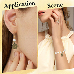 1 Bags Tibetan Style Alloy Pendants&nbsp;FIND-SC0018-06AB