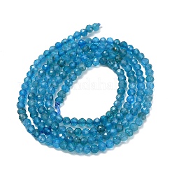 Natural Apatite Beads Strands&nbsp;G-Z106-A01-2mm