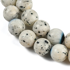 Natural Blue Ice Glacierite Stone Beads Strands&nbsp;G-H062-A04-04