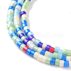 Handmade Lampwork Beads Strands&nbsp;LAMP-L078-008M