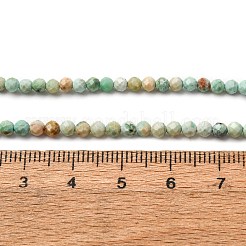 Natural Peruvian Turquoise(Jasper) Beads Strands&nbsp;G-A276-C13-3mm