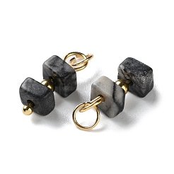 Natural Gemstone Cuboid Beaded Pendants&nbsp;STAS-C120-02G
