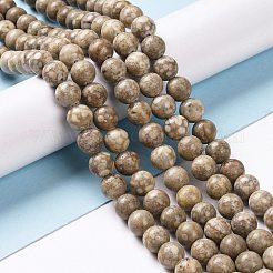 Natural Maifanite/Maifan Stone Beads Strands&nbsp;G-I187-6mm-01