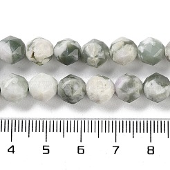 Natural Peace Jade Beads Strands&nbsp;G-NH0021-A08-01