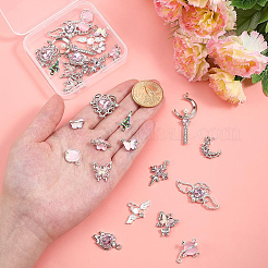 Alloy Resin & Glass Pendants & Connector Charm Findings Kits&nbsp;DIY-PH0034-79